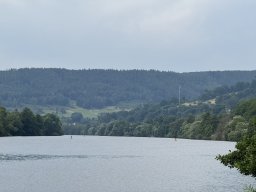Mainschwimmen Juni 2026
